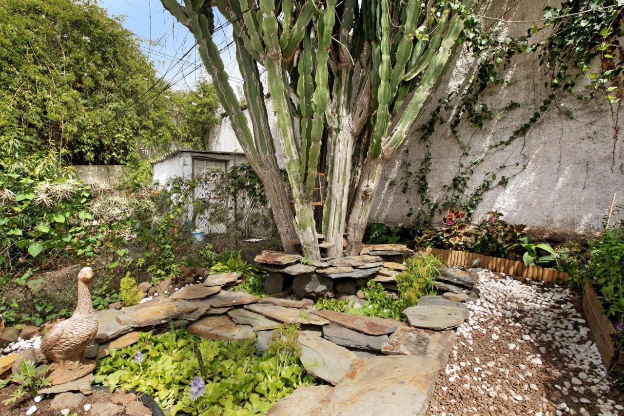 Apartamento Jardin Del Sol Tacoronte Dış mekan fotoğraf