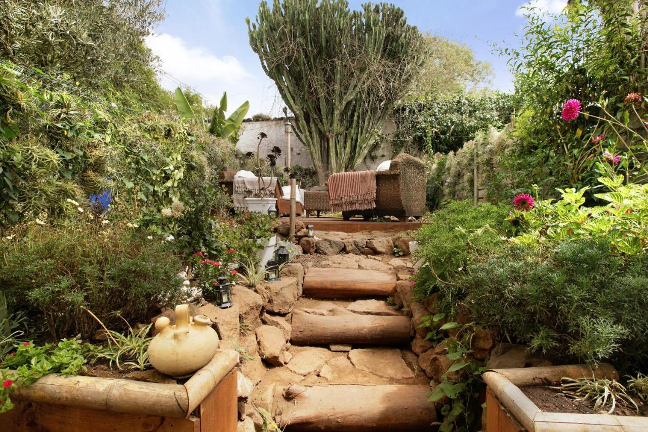 Apartamento Jardin Del Sol Tacoronte Dış mekan fotoğraf